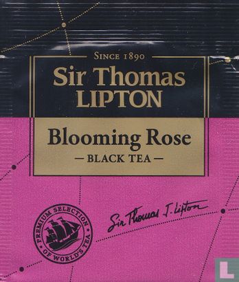 Blooming Rose - Afbeelding 1