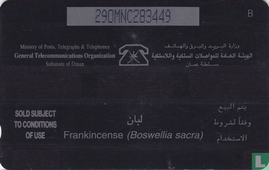 Frankincense (Boswellia sacra) - Afbeelding 2