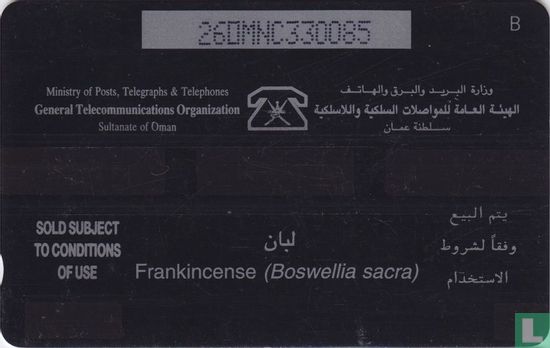 Frankincense (Boswellia sacra)  - Afbeelding 2