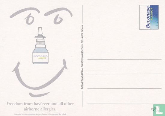 Beconase Allergy - Image 2