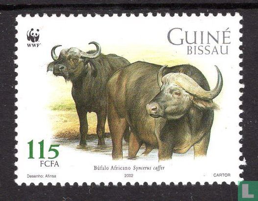WWF - Afrikaanse Buffel