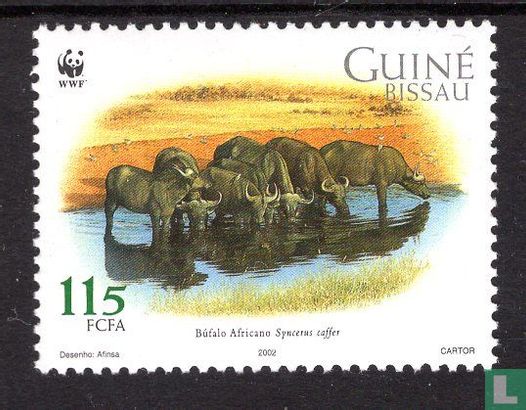 WWF-African Buffalo