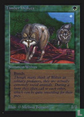 Timber Wolves - Image 1