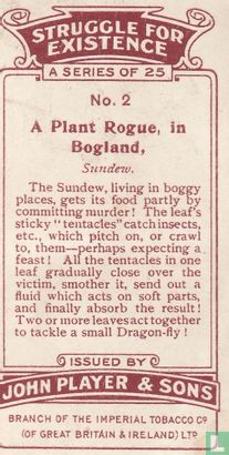 A Plant Rogue, in Bogland, - Afbeelding 2