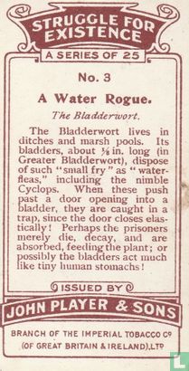 A Water Rogue. - Bild 2