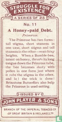 A Honey-paid Debt. - Bild 2