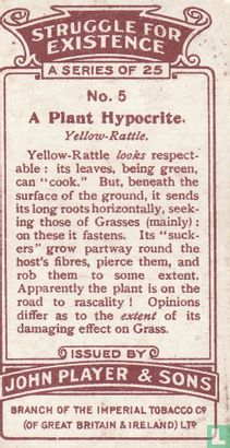 A Plant Hypocrite. - Image 2