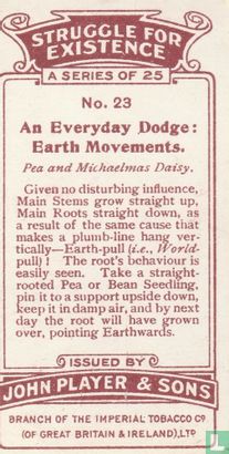An Everyday Dodge: Earth Movements. - Afbeelding 2
