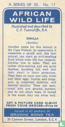 Zorilla - Afbeelding 2