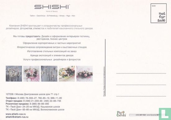 6439 - Shishi - Bild 2