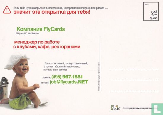 6543 - FlyCards - Afbeelding 2