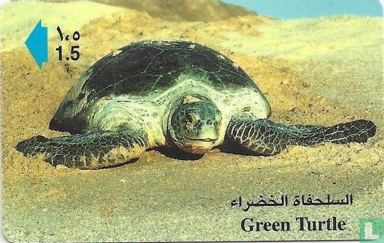 Green Turtle  - Afbeelding 1