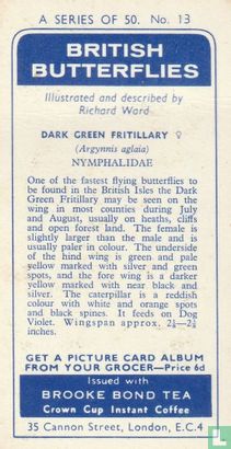 Dark Green fritillary - Image 2