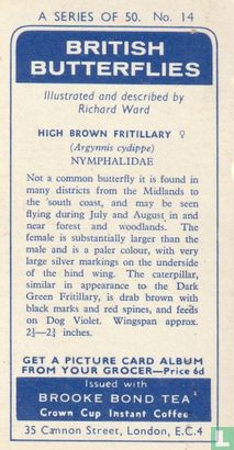 High Brown Fritillary - Image 2