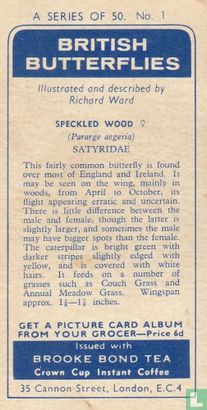 Speckled Wood - Image 2