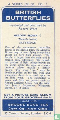 Meadow Brown - Image 2