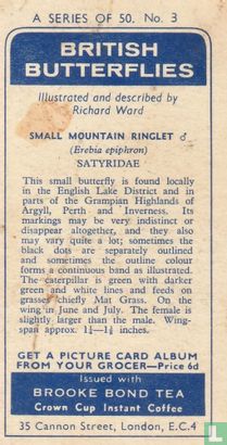 Small Mountain Ringlet - Image 2