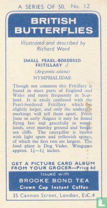 Small Pearl-bordered Fritillary - Image 2