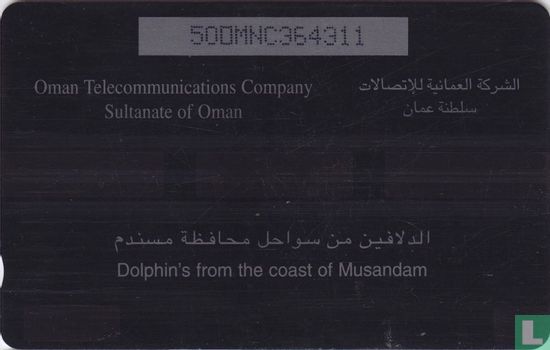 Dolphin's from the coast of Musandam - Image 2