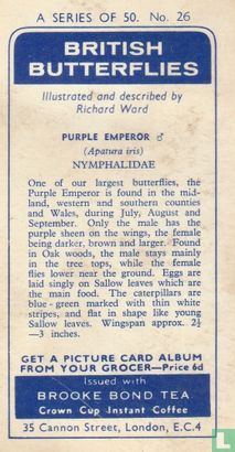 Purple Emperor - Image 2