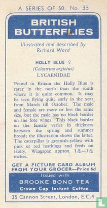 Holly Blue - Image 2