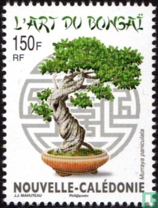 The art of bonsai