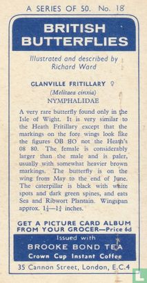 Glanville Fritillary - Image 2