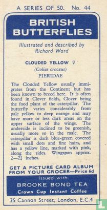 Clouded Yellow - Image 2