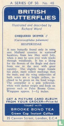 Chequered Skipper - Image 2