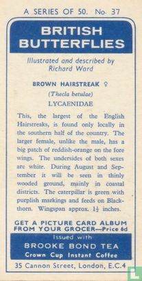 Brown Hairstreak - Image 2