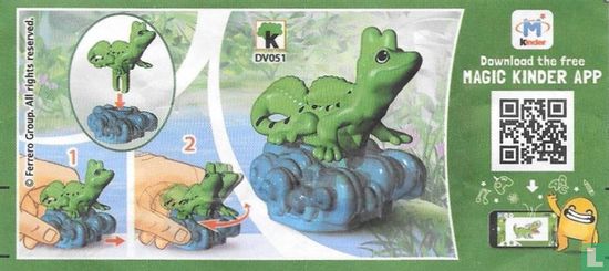 Leguan - Bild 3