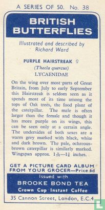 Purple Hairstreak - Afbeelding 2