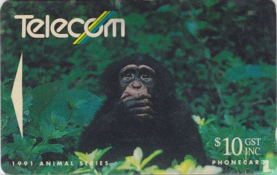 Pan Troglodyle Chimpanzee - Bild 1