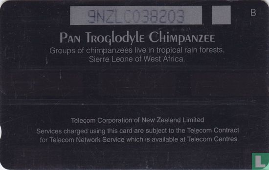 Pan Troglodyle Chimpanzee - Bild 2