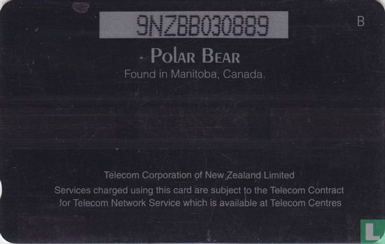 Polar Bear - Afbeelding 2