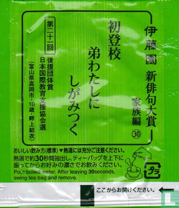 Green Tea Tea Bag - Image 2