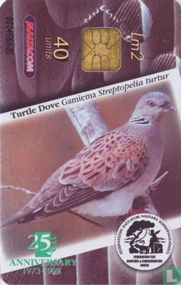 Turtle Dove - Afbeelding 1