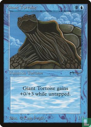 Giant Tortoise - Image 1