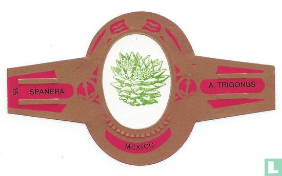 MEXICO A .Trigonus - Image 1