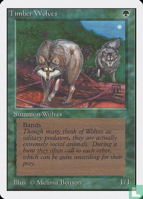 Timber Wolves - Image 1