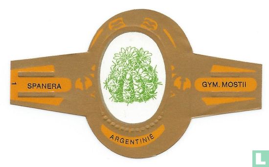 Argentina - Gym. Mostii - Image 1
