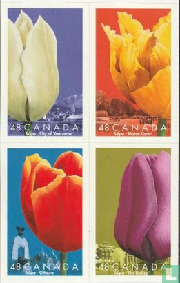 Festival des tulipes 