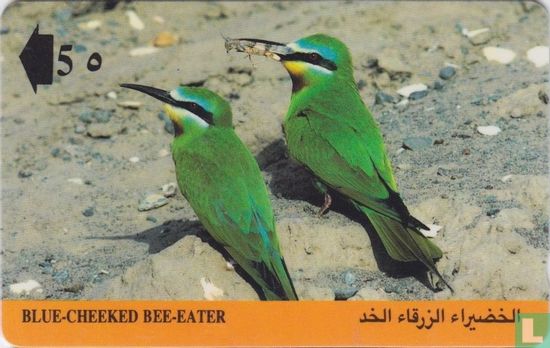 Blue-Cheeked Bee-eater - Image 1