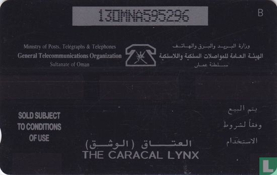 The Caracal Lynx - Image 2