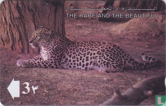 The Arabian Leopard - Image 1