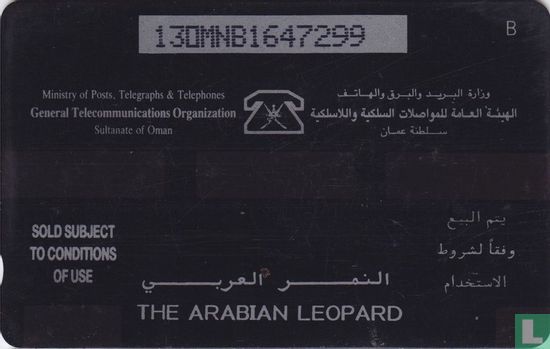 The Arabian Leopard - Image 2