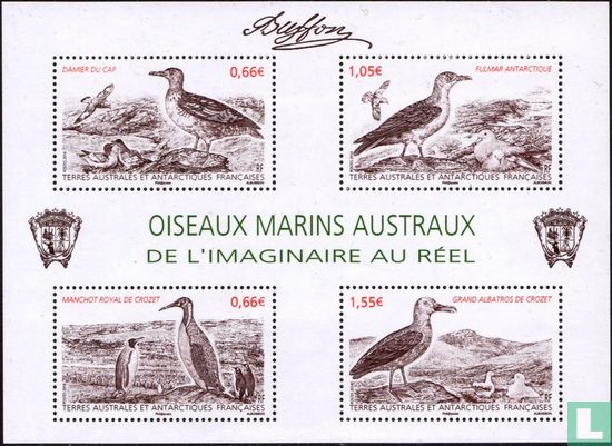 Oiseaux marins austraux