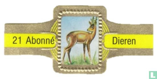 [Roe deer] - Image 1