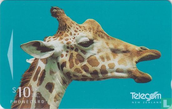 Giraffe, Talk your Head off - Afbeelding 1