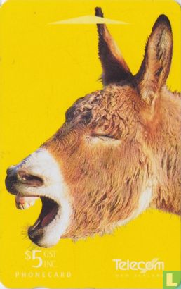 Donkey, Enjoy a Good Chin Wag - Bild 1